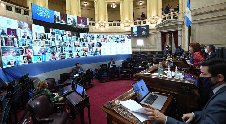 El Senado retomó los debates y estrenó las sesiones remotas