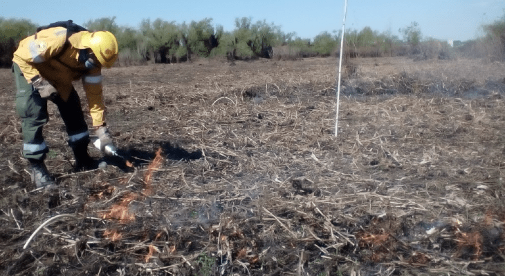 Reunión clave por la quema de pastizales en el Delta del Paraná