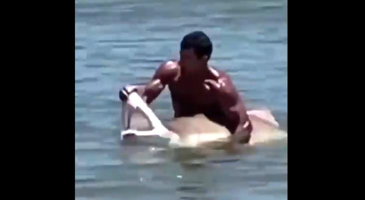 Un bañero atrapó a un tiburón con sus propias manos