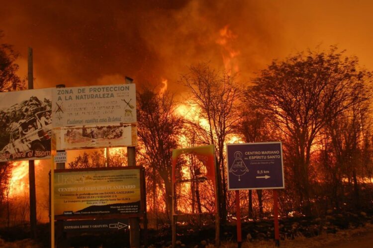Califican de "incalculable" el daño ambiental por los incendios