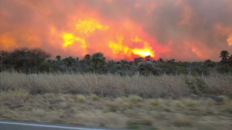 Alertan por el riesgo "extremo" de incendios