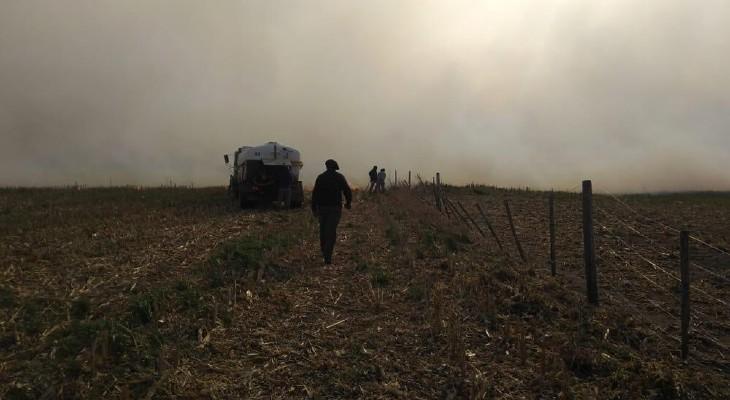 Declaran "zona de desastre agropecuario" a los sectores afectados Declaran "zona de desastre agropecuario" a los sectores afectados