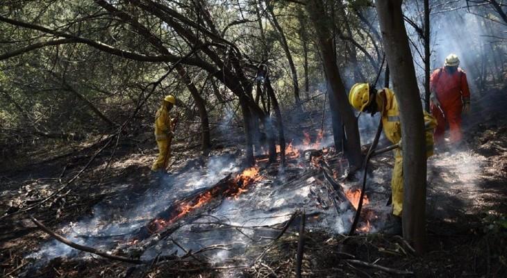 Cinco detenidos por iniciar incendios
