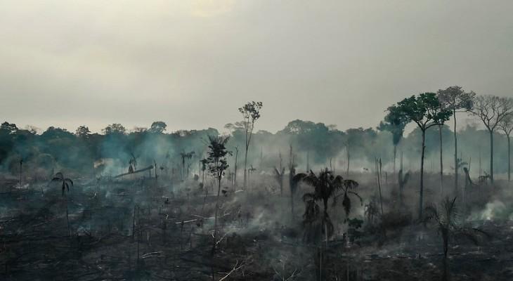 El fuego arrasa con tierras indígenas en nuestra región