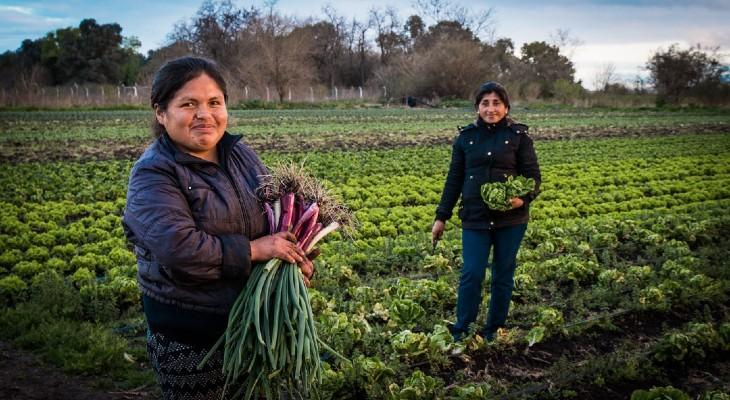 Destinan $ 600 millones para proyectos de mujeres rurales