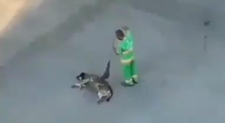 Viral: el tierno momento de un barrendero con un perro callejero