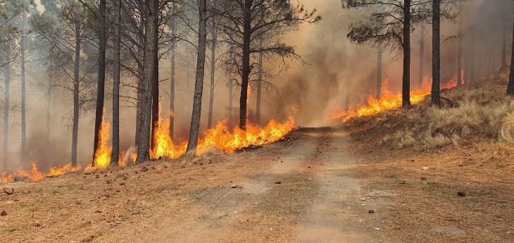 Siete provincias continúan afectadas por incendios forestales