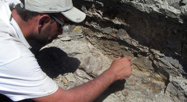 Descubren una especie de dinosaurio que ayuda a comprender el período volcánico