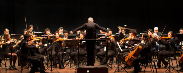 El derecho a la cultura