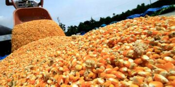 El campo y la pandemia