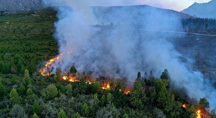 Un voraz incendio arrasó con miles de hectáreas de bosque en El Bolsón