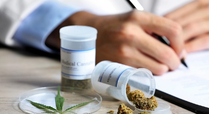 Cannabis: impulsan el primer juicio por uso medicinal Cannabis: impulsan el primer juicio por uso medicinal