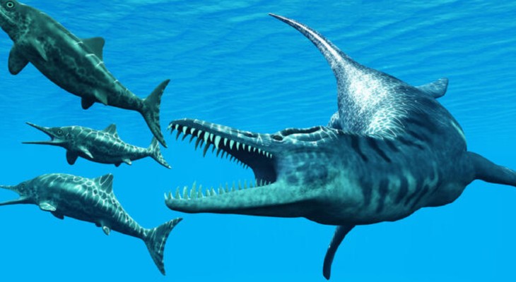 Hallan restos de un marino prehistórico con dientes de tiburón de hace 66 millones de años