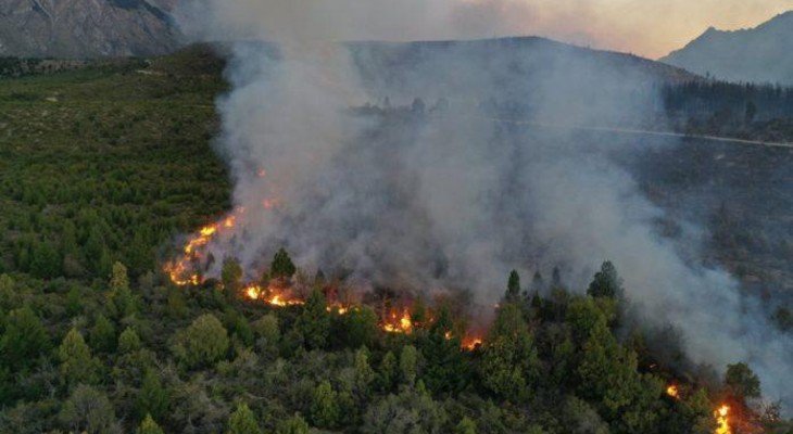 El incendio en El Bolsón está "detenido con focos activos"