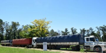 Incautan 88 toneladas de soja que habrían salido de Córdoba