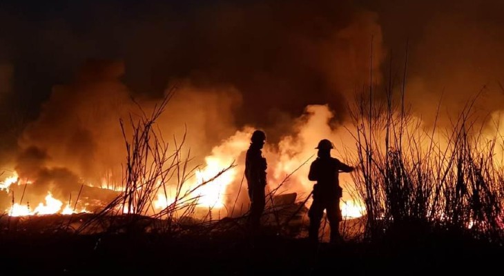 Se perdieron un millón de hectáreas por incendios forestales Se perdieron un millón de hectáreas por incendios forestales
