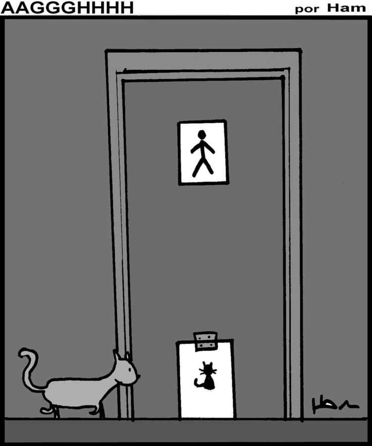 Humor en Hoy Día