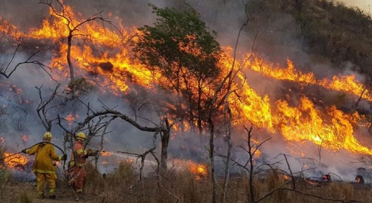 Incendios en la Patagonia: la Afip dispuso medidas de alivio