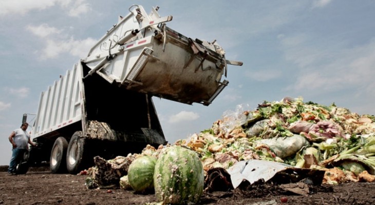 El mundo desperdicia el 17% de los alimentos