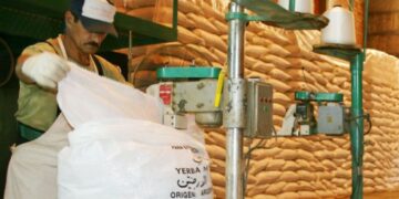 Argentina será el primer país en exportar yerba a India