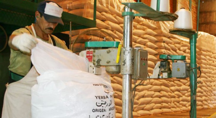 Argentina será el primer país en exportar yerba a India