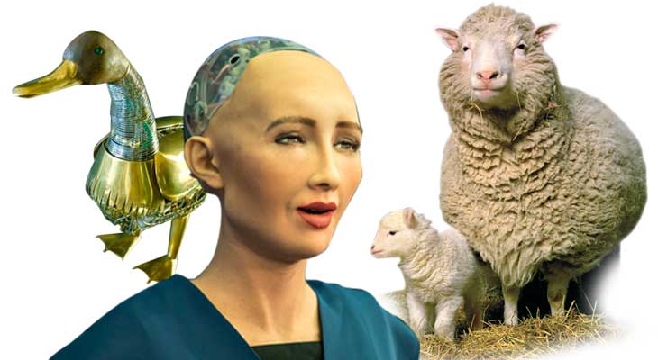 Sophia, el pato y la oveja