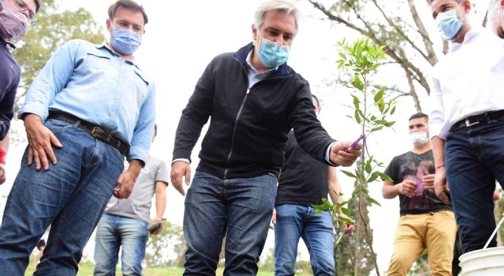 Un bosque en el Campo de la Ribera