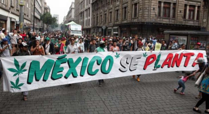 México legalizó el uso del cannabis con fines recreativos