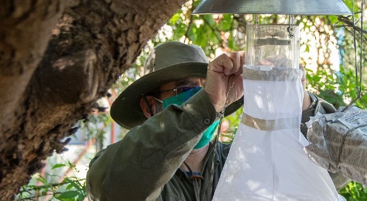 Tratan de identificar las zonas propicias para los mosquitos