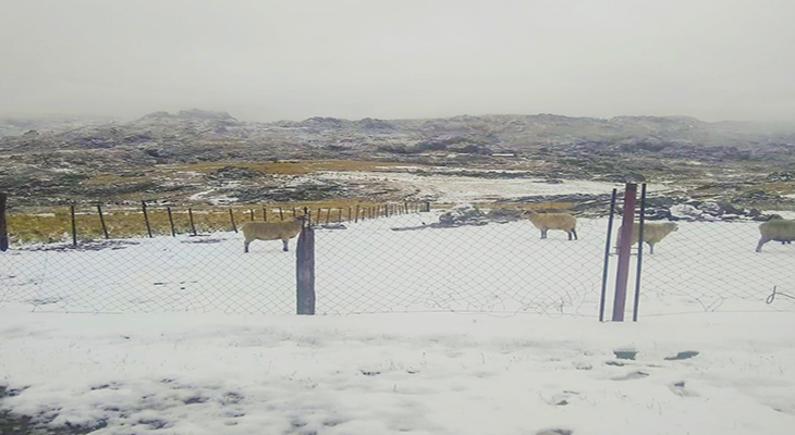 Córdoba bajo cero: primera nevada del año en el Cerro Champaquí