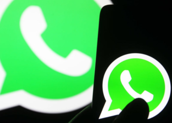 El Gobierno Nacional frenó la nueva política de privacidad de WhatsApp