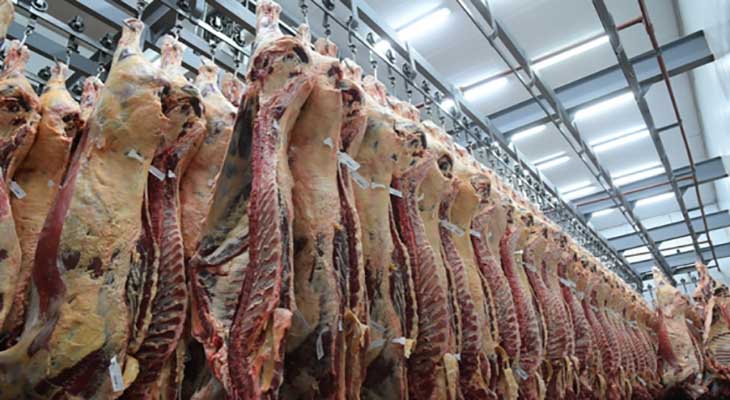 El Gobierno prevé retomar exportaciones de carne la próxima semana