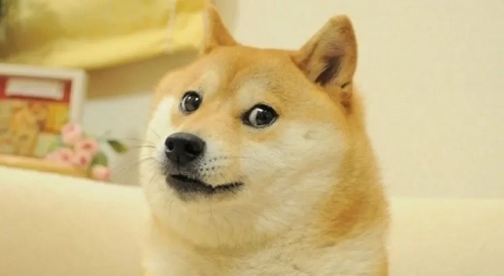 Subastan a "Doge", el famoso perrito del meme, por un precio increíble
