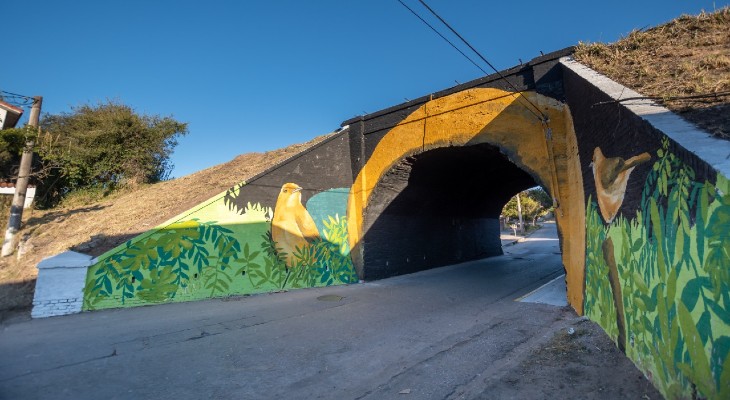 Un puente de barrio San Vicente se transformó en un Nido de Hornero