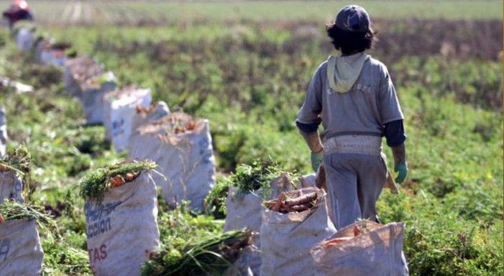 Los desafíos argentinos en la lucha contra el trabajo infantil
