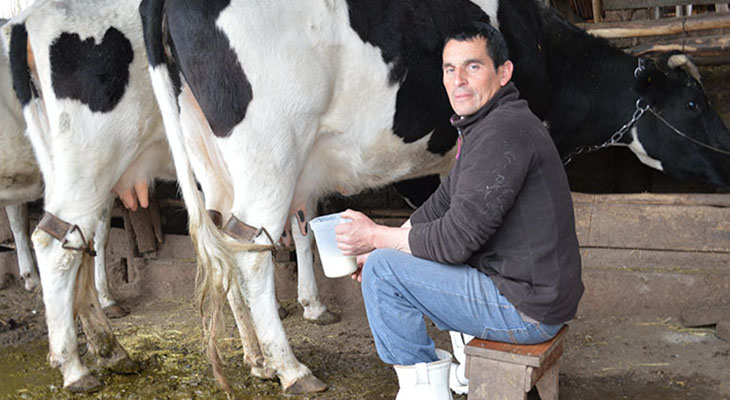 Producen la primer leche en polvo orgánica del país