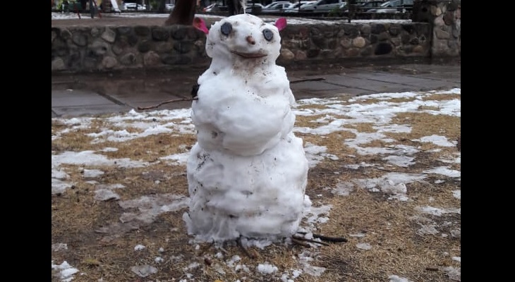 La nieve en Córdoba se convirtió en memes, muñecos, obras de arte y hielo para el fernet