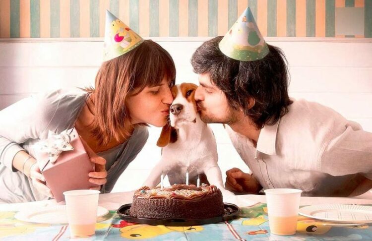 Petichismo, la relación tóxica con nuestros animales