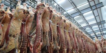El precio de la carne se estabilizó en la última quincena de junio