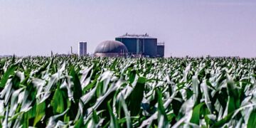 Nación extendió el régimen de biocombustibles hasta fines de agosto