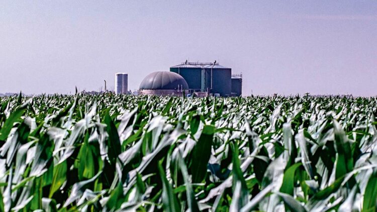 Nación extendió el régimen de biocombustibles hasta fines de agosto
