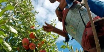 La merma de retenciones hizo trepar las economías regionales