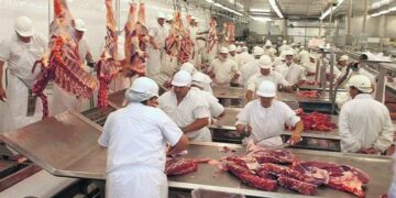 Carne: la faena retrocedió 6,7% en el primer semestre