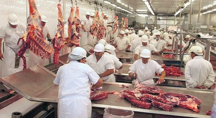 Carne: la faena retrocedió 6,7% en el primer semestre