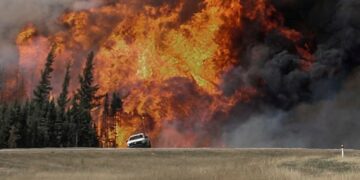 Reportan 300 focos activos de incendios forestales en Canadá