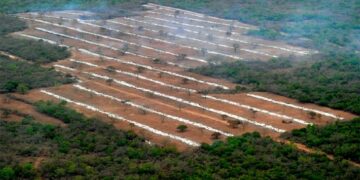 Proteger el suelo, un desafío que debemos afrontar