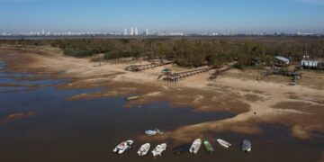 Preocupa la provisión de materia prima por la bajante del Paraná