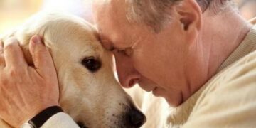 Los beneficios de vivir con animales