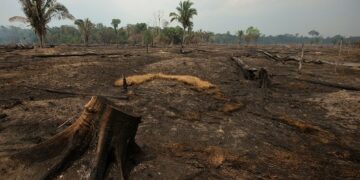 Miles de científicos advierten por el preocupante deterioro de la Tierra