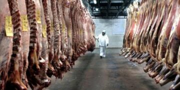 Extienden las restricciones para las exportaciones de carne vacuna